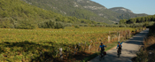 Mountain biking Sumartin