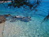 Bol 2007 Croatia