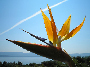 bol beach croatia