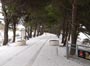Bol Setnica winter