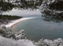 Zlatni rat